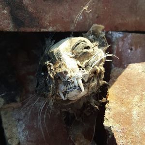 Meet your Posher, Jon